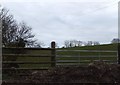 Fields near Stockwell