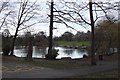 Christmas morning at the lake, Acton Park Wrexham