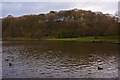 The Yarrow Valley Country Park