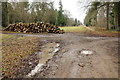 Wood stacked up on Overley Ride