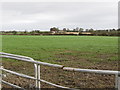 Farmland between Milltown Road and Grange Road