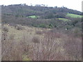 Whiteleaf Hill from near to Pulpit Hill