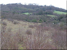 SP8204 : Whiteleaf Hill from near to Pulpit Hill by Peter S