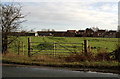 Houses on Tranmore Lane