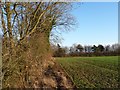 TL0496 : Edge of large field, south of Apethorpe Road by Christine Johnstone