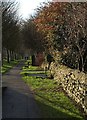 Path beside Otley Road