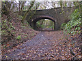 Bridge over the line of the Cowbridge & Aberthaw Railway