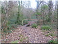 Efford, footbridge