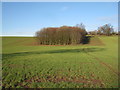 Plantation and Gringley windmill