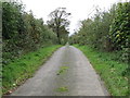 View westwards along the Quarter Road