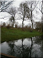 Tree reflections in a pond at the Springs Farm