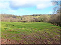 The Escley Brook valley