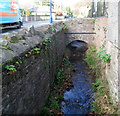 Afon Cibi, Abergavenny