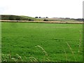 Grassland, Tannachy