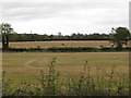 Harvested crop land between Ballyclander Road and Ardglass Road