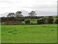 Pasture land with ruined farm building south-west of the Corbally Road