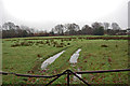 Sodden field off Newick Lane