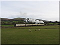 Fields beside the West Somerset Railway near Vellow