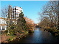 Hogsmill River and Kingston University