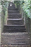 SX9264 : Torquay : Uphill Steps by Lewis Clarke