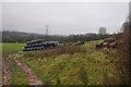 Mid Devon : Sheep & Hay Bales