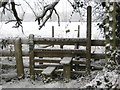 Footpath in snow