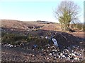 Poplars landfill