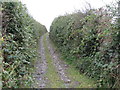 Track linking Grangecam Road and Carrowbane Road