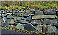 J4060 : Drystone wall near Saintfield (2) by Albert Bridge