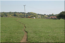 SP1764 : Meadow south of Barnmoor Wood by Robin Stott
