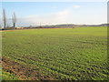 Arable land south of Sedgebrook