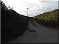 Minor road leading west from Rowden Cross