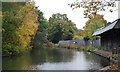 Basingstoke Canal