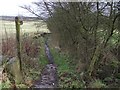 Footpath at Dakins Brook