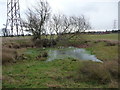 Small pond near Benthall