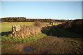 Bridleway to Holbeck