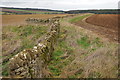 SP0930 : Cotswold dry stone wall by Philip Halling