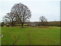 Field on the south side of Heneage Court, Falfield