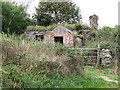 Ruined cottage on the Quarter Road