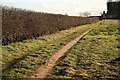 Shireoaks Hill farmland