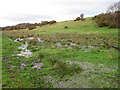 Marshland alongside the Weaver