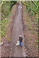 Tiverton : Old Railway Line