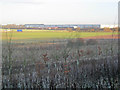 Scrubland north of Beacon Hill