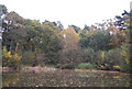 Autumn colours, Basingstoke Canal