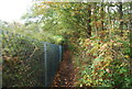 Bridleway into Lypeatt Wood