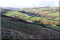 Hillside above the Worth valley