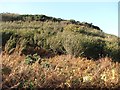 Steep ground above Kildonan