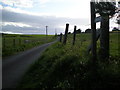 Road leading to Craich farm, near Kirktown of Tough