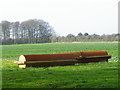 Roller, East Chase Farm