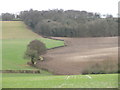 Fields and woods seen from a path leading to Lodge Hill